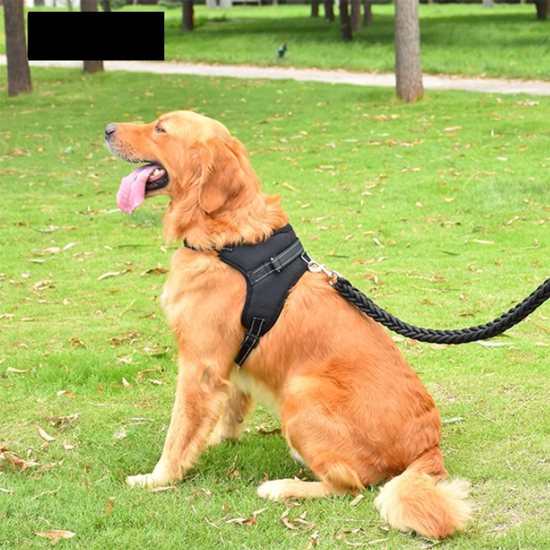 Verstellbares Hundegeschirr mit Leine