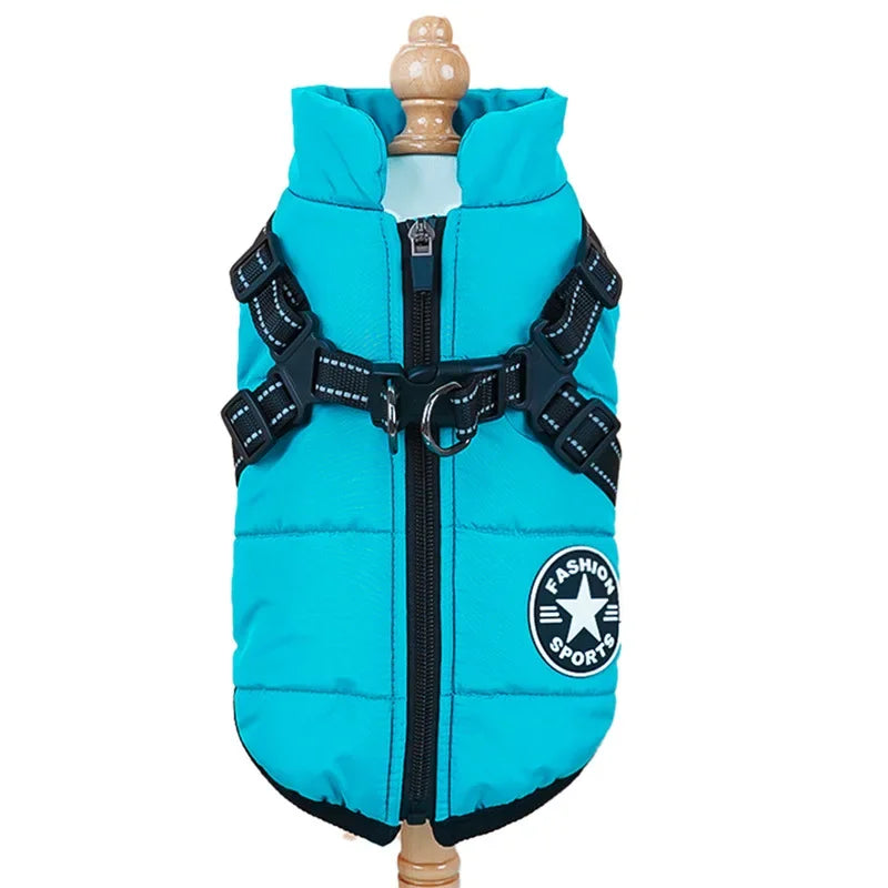 Warme Tierjacke mit Geschirr