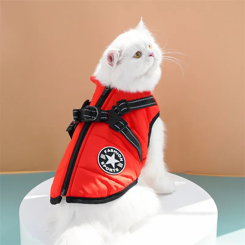 Warme Tierjacke mit Geschirr