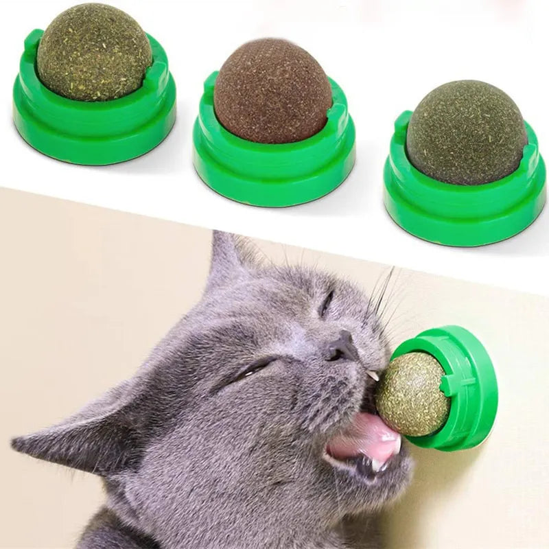 Natürlicher Katzenminze-Stick-on-Ball