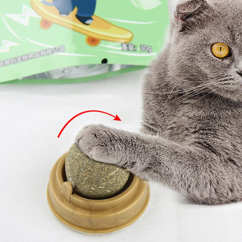Natürlicher Katzenminze-Stick-on-Ball
