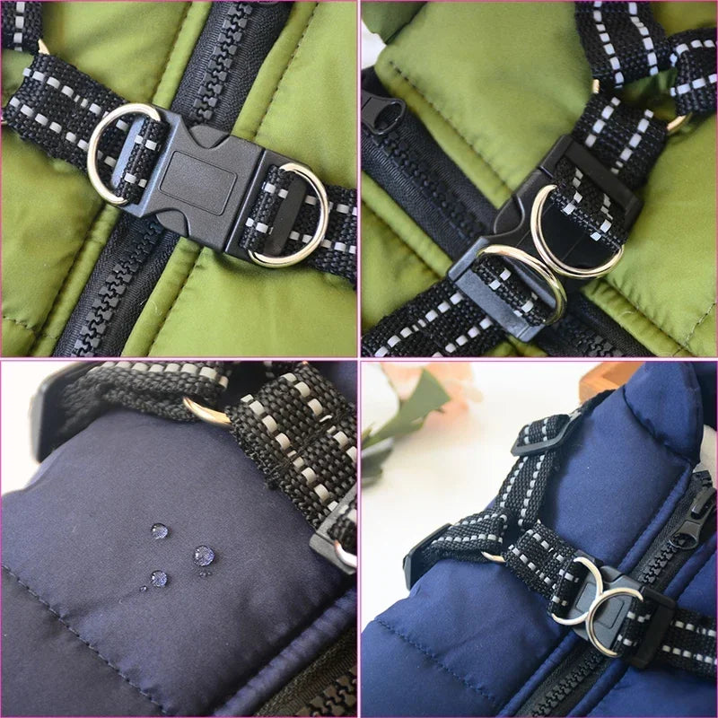 Warme Tierjacke mit Geschirr