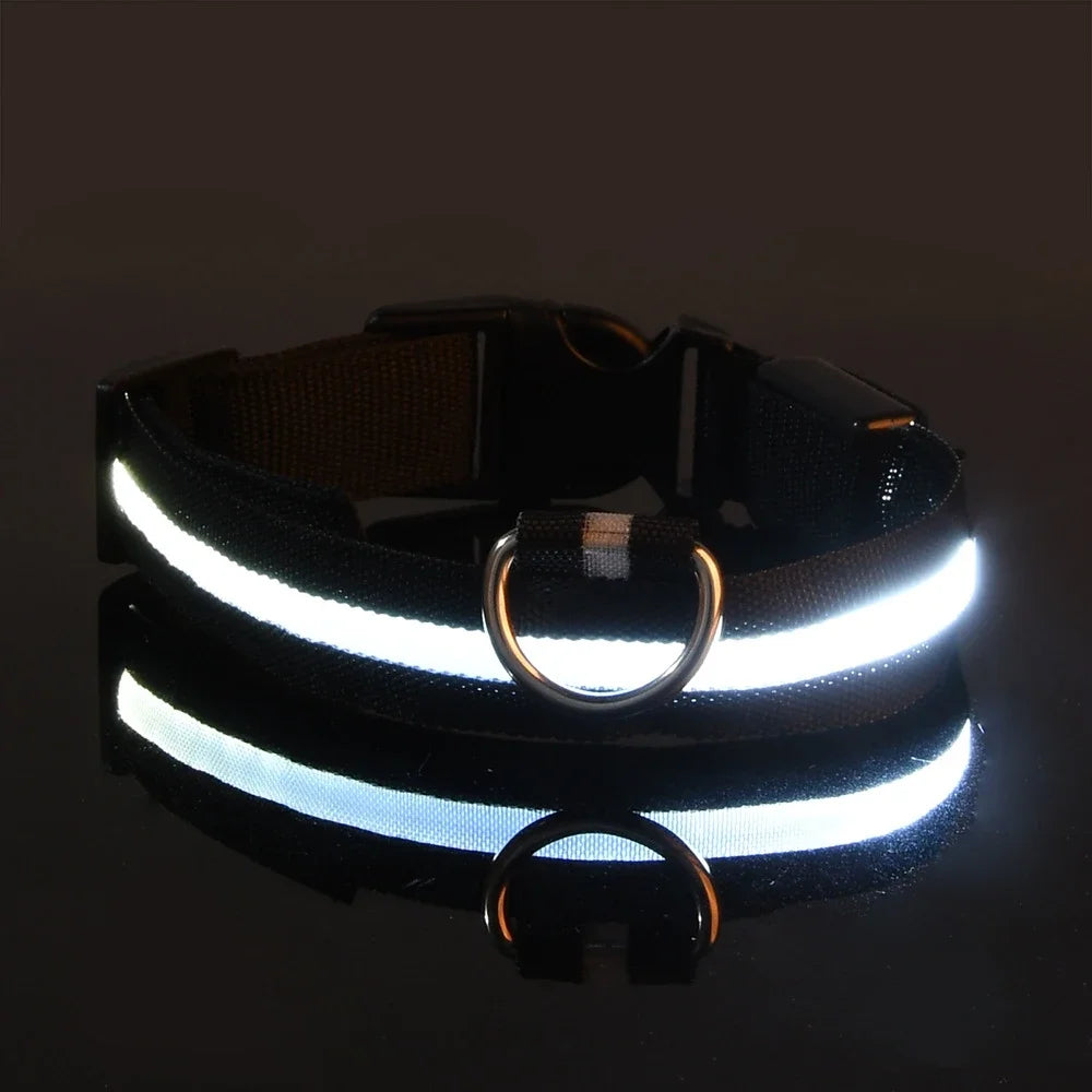 LED-Leuchthalsband aus Nylon