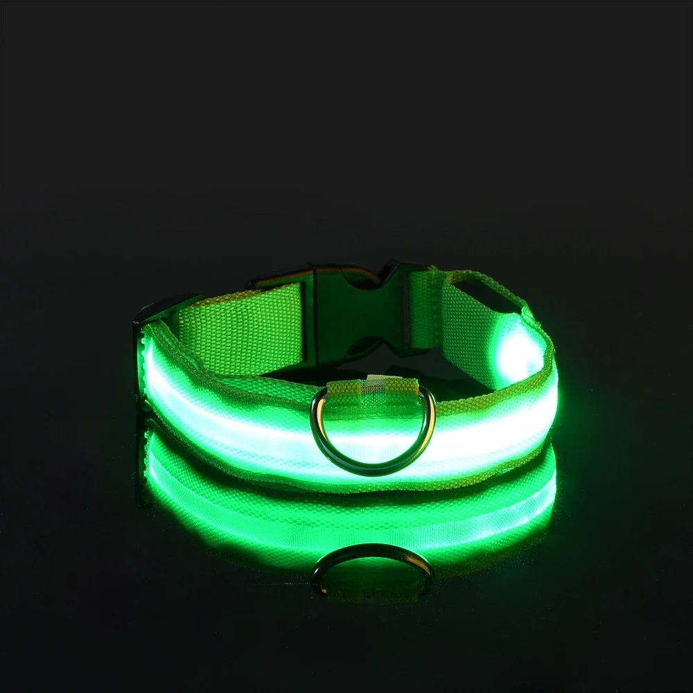 LED-Leuchthalsband aus Nylon