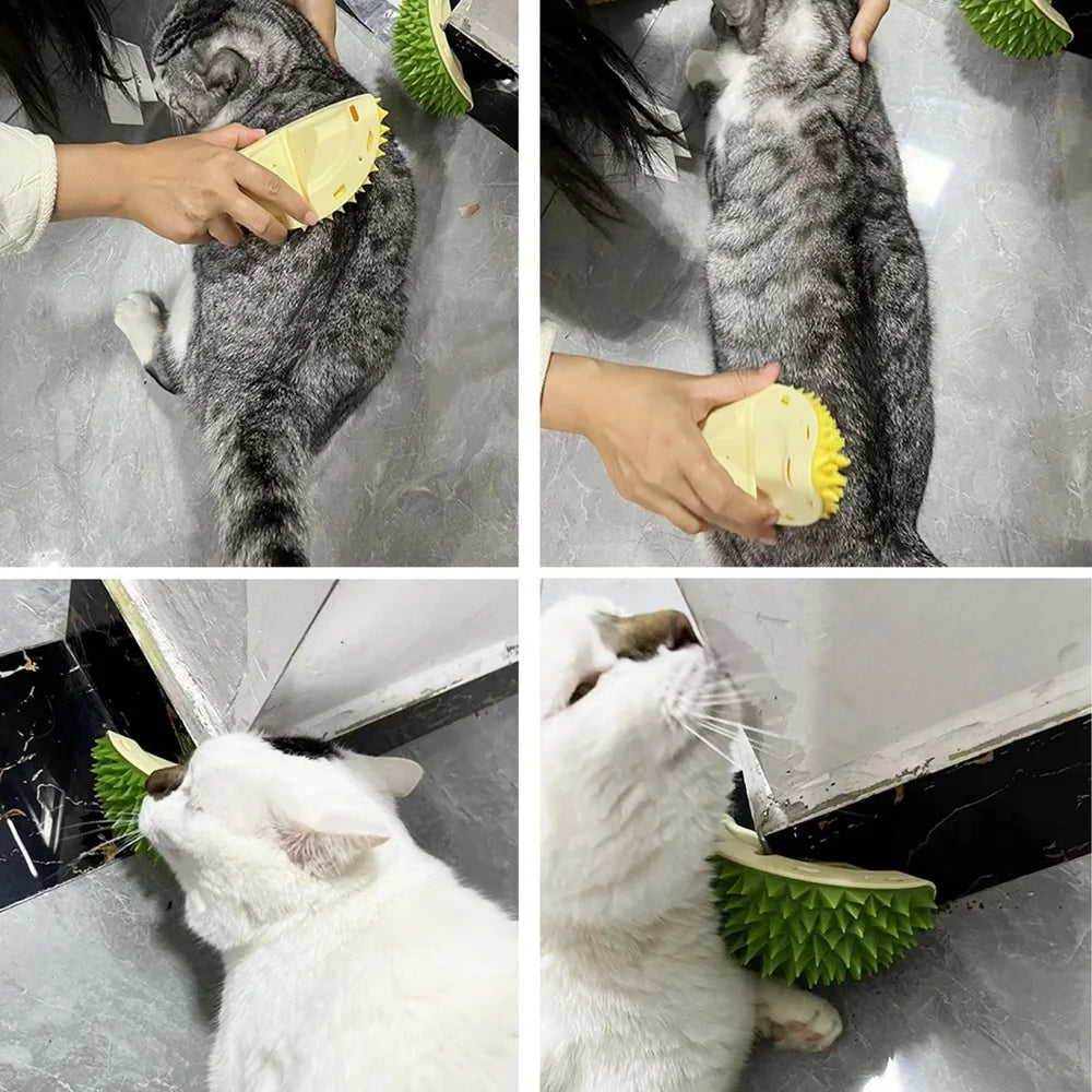 Katzenscratcher und Massagebürste