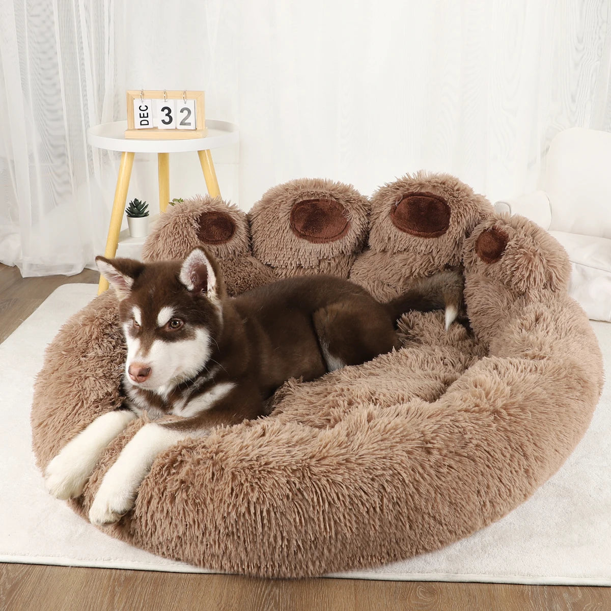 Kuscheliges Hundesofa