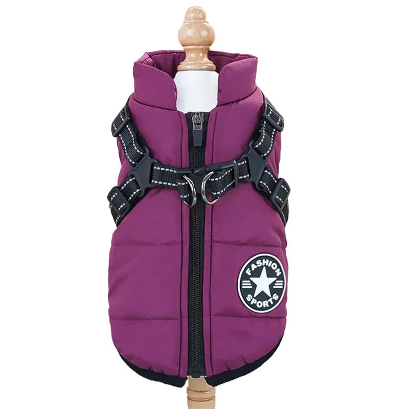 Warme Tierjacke mit Geschirr