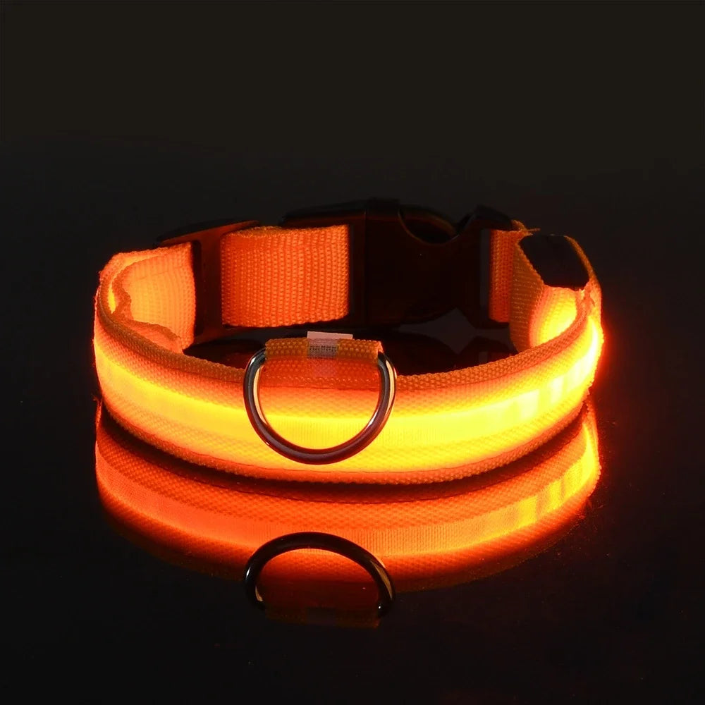 LED-Leuchthalsband aus Nylon