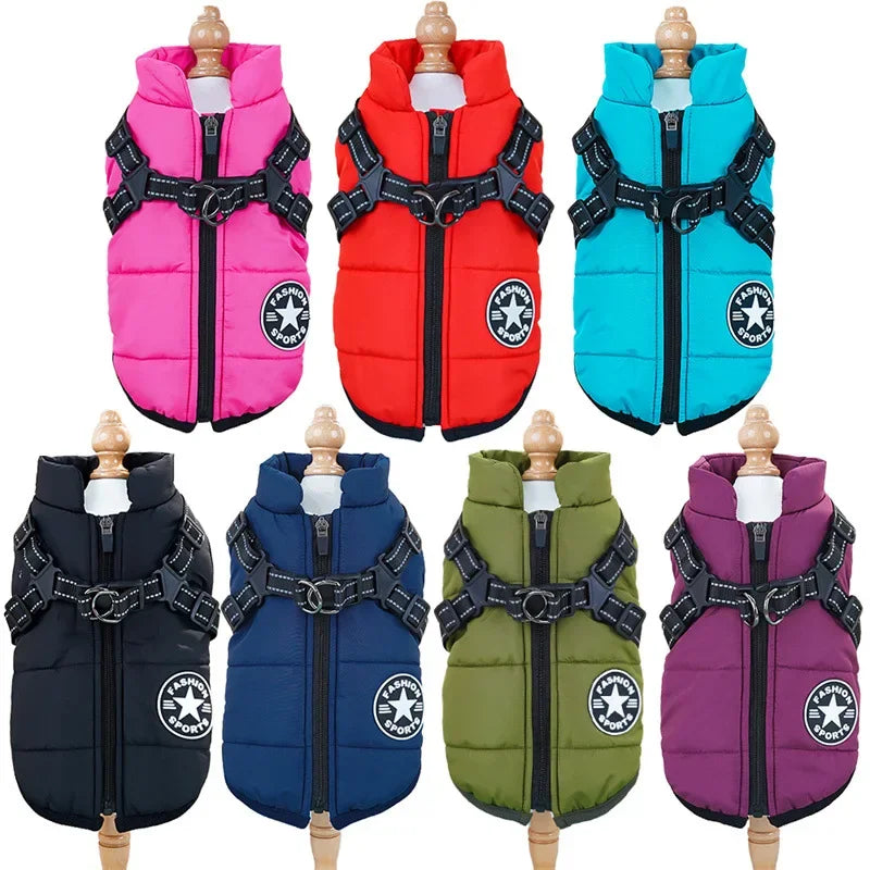 Warme Tierjacke mit Geschirr