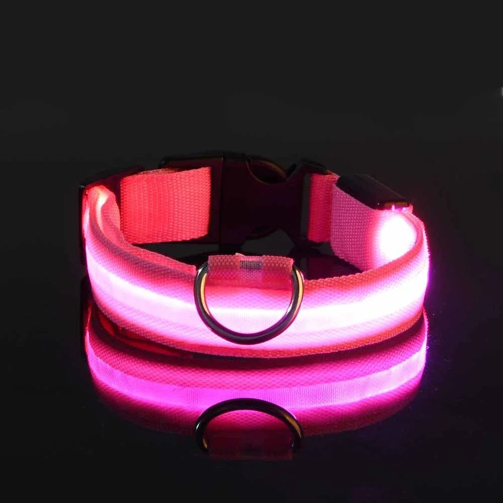 LED-Leuchthalsband aus Nylon