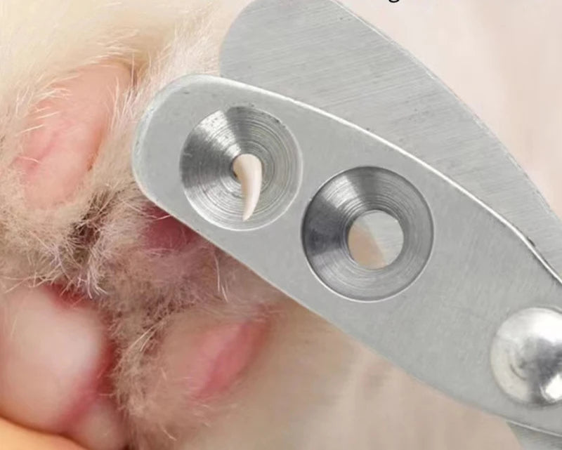 Professionelle Tier-Nagelzange