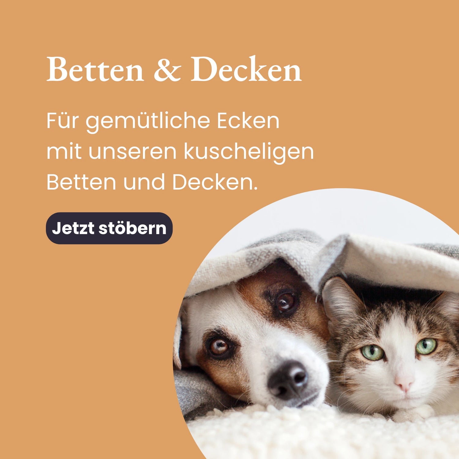 Betten & Decken