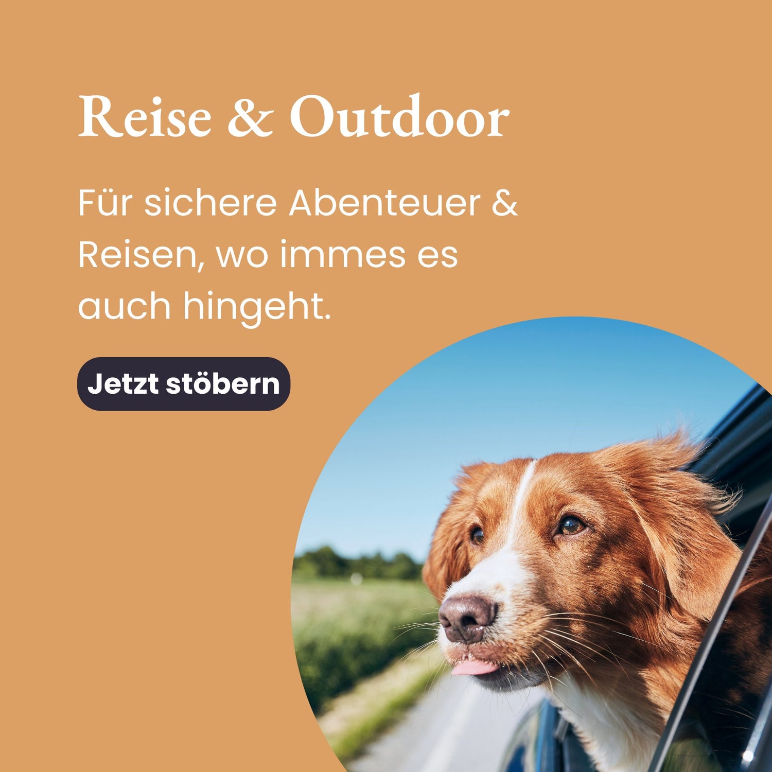 Reise & Outdoor