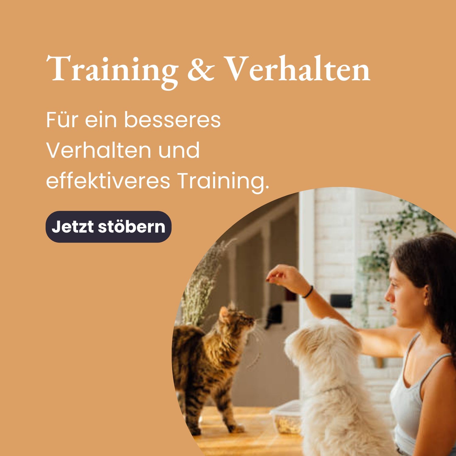 Training & Verhalten