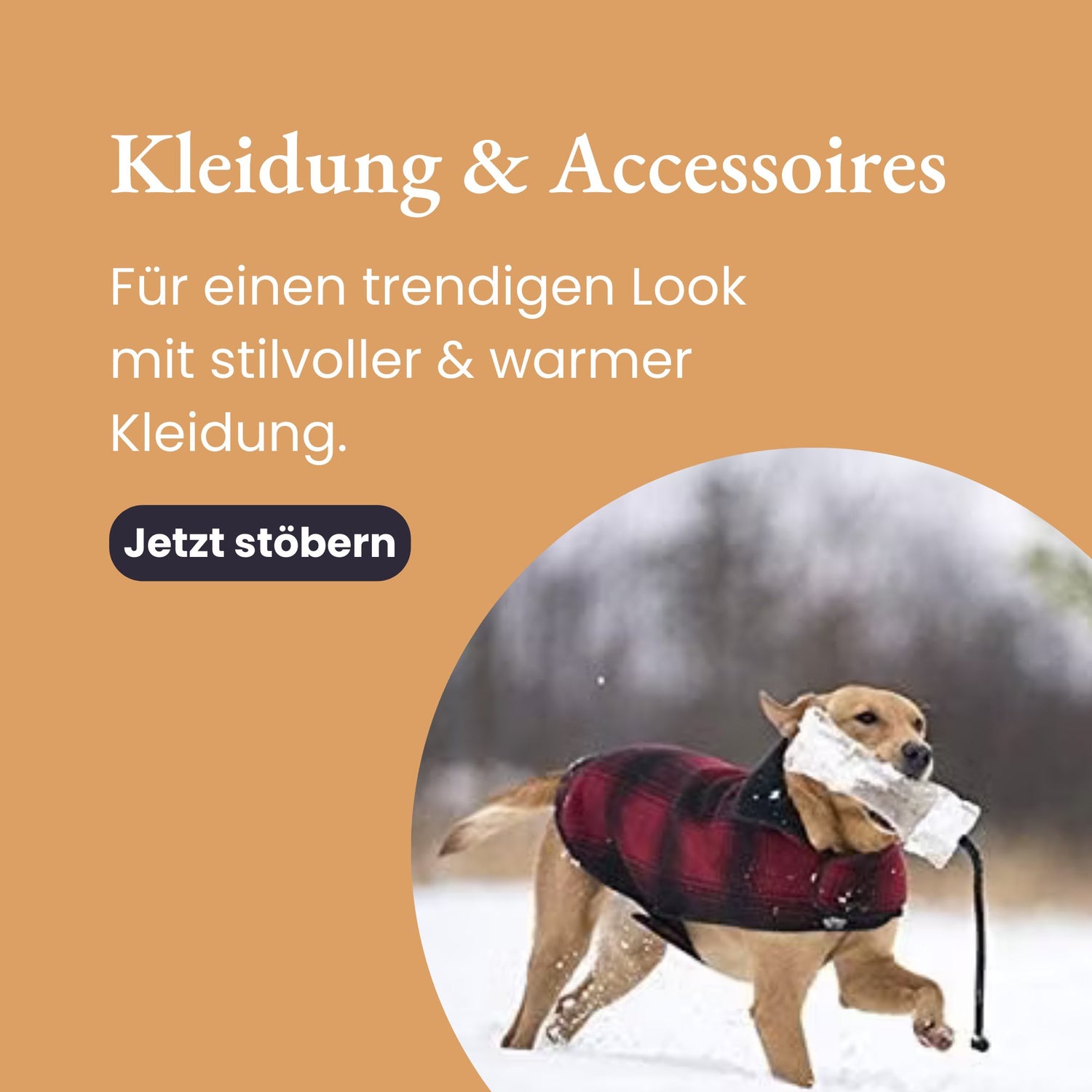 Kleidung & Accessoires