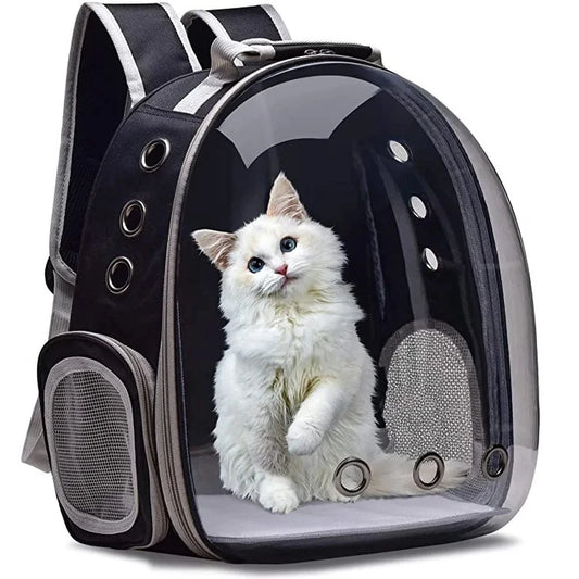 Transparenter Kapsel-Katzenrucksack