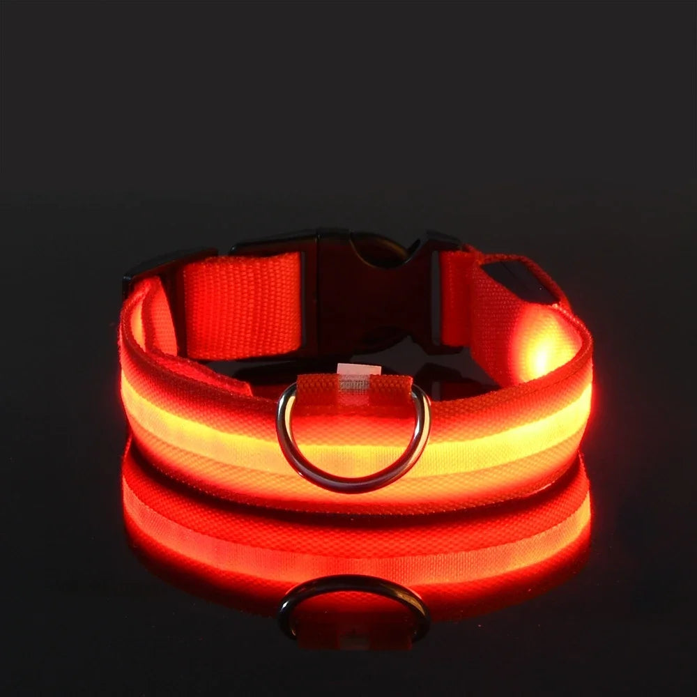 LED-Leuchthalsband aus Nylon