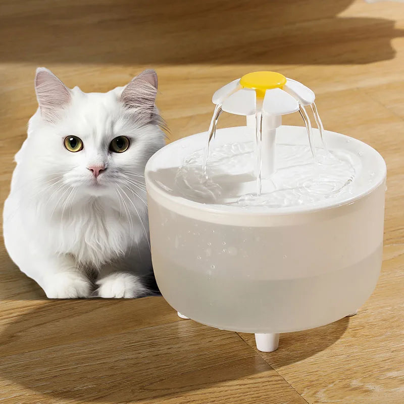 Elektrischer Wasserspender