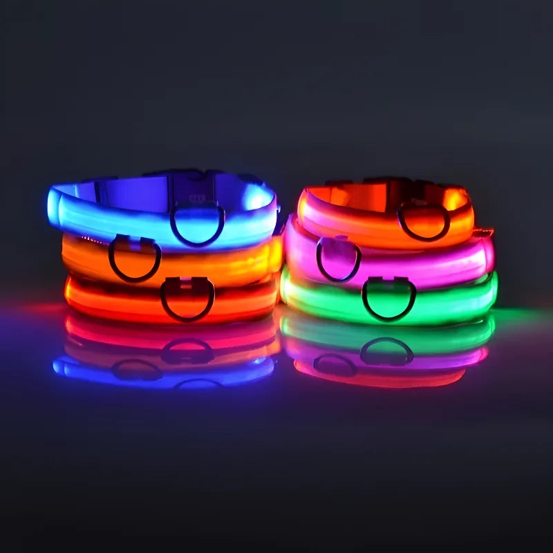 LED-Leuchthalsband aus Nylon