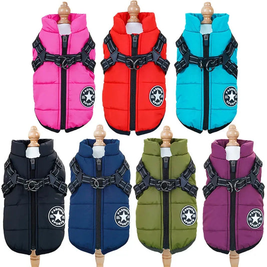 Warme Tierjacke mit Geschirr