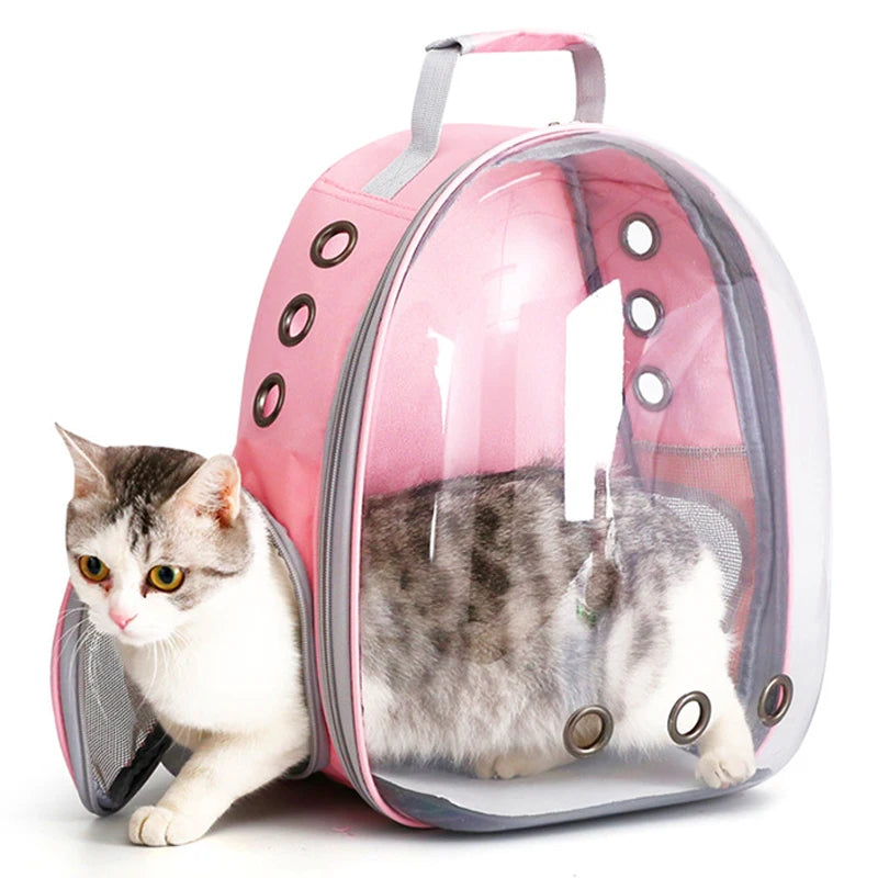 Transparenter Kapsel-Katzenrucksack