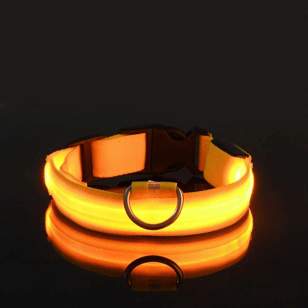 LED-Leuchthalsband aus Nylon