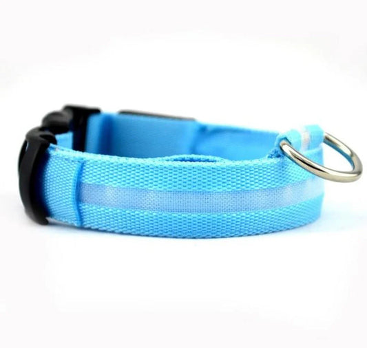 LED-Leuchthalsband aus Nylon